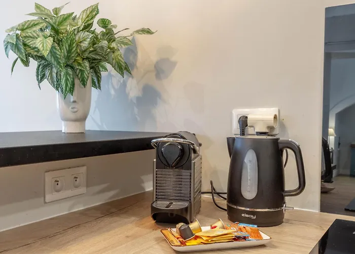 Le Barthou - T3 Lumineux En Centre-ville De Pau